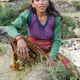 Ratna gets Rs150 for every woman who gets sterilized.